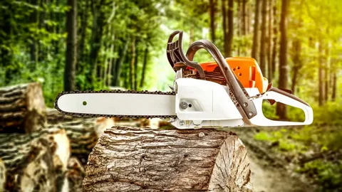 Electric vs Gas Chainsaws: Which One Should You Choose?