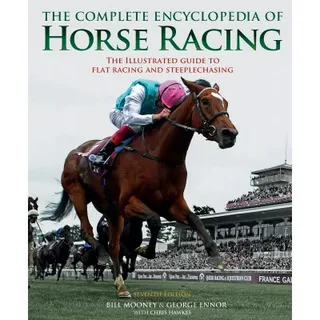 Betting on Horse Racing Online: Safe Platforms and Winning Tips