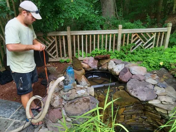 Crystal-Clear Garden Ponds with Pond Clean Sussex Services